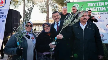Denizli Büyükşehir’den üreticiye 100 bin zeytin fidanı desteği
