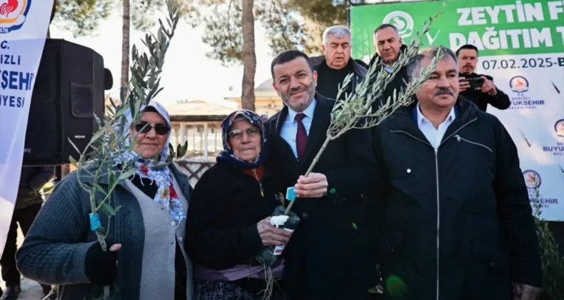 Denizli Büyükşehir’den üreticiye 100 bin zeytin fidanı desteği