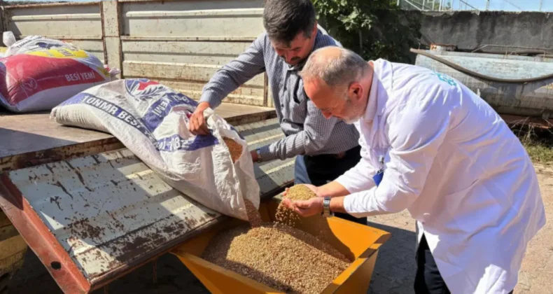 Kocaeli’de seyyar selektör makinesi çiftçinin hizmetinde