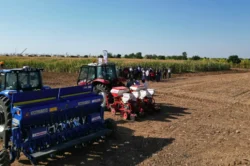 Şanlıurfa Büyükşehir’den sürdürülebilir tarım hamlesi
