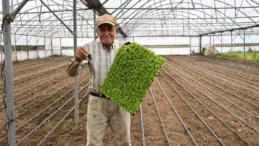 Balıkesir Büyükşehir’den üreticilere tarımsal destek