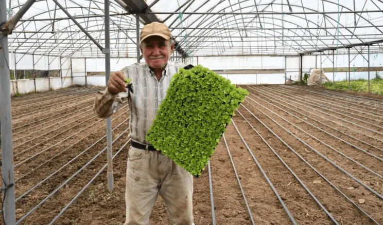 Balıkesir Büyükşehir’den üreticilere tarımsal destek