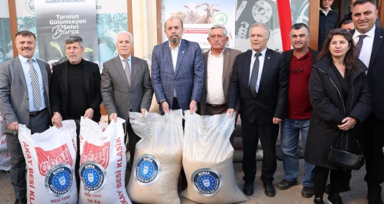 Bursa’da çiftçiye yem ve aşı desteği! Hesaplara yattı…