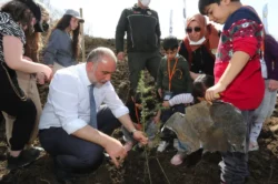 Canik Belediyesi’nden Milli Ağaçlandırma Günü’ne destek