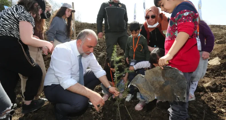 Canik Belediyesi’nden Milli Ağaçlandırma Günü’ne destek