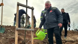 Çorum’da Milli Ağaçlandırma Günü coşkusu yaşandı