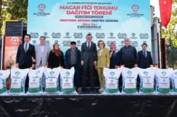 Denizli Büyükşehir’den üreticilere Macar fiği desteği