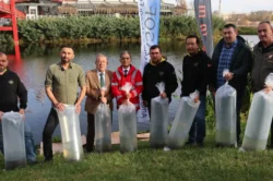 Eskişehir’de Porsuk Çayı’na 5 bin aynalı sazan bırakıldı