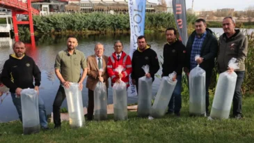 Eskişehir’de Porsuk Çayı’na 5 bin aynalı sazan bırakıldı