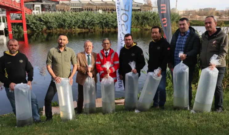 Eskişehir’de Porsuk Çayı’na 5 bin aynalı sazan bırakıldı