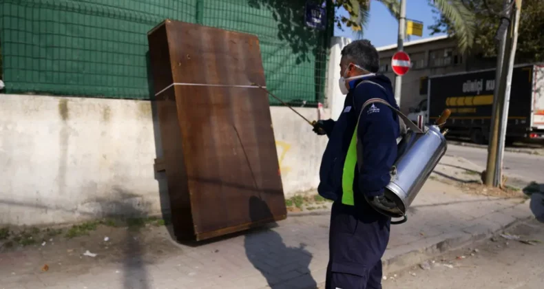 İzmir Büyükşehir’den karasinekle yoğun mücadele