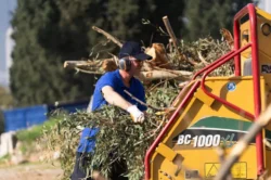 İzmir’de yeşil atıklar kompost gübreye dönüştürülüyor