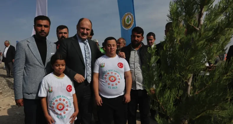 Şanlıurfa’da fidanlar toprakla buluştu