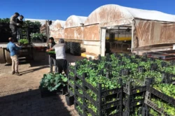 Şanlıurfa Büyükşehir’den yeşeren tasarruf