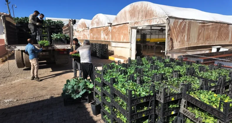 Şanlıurfa Büyükşehir’den yeşeren tasarruf