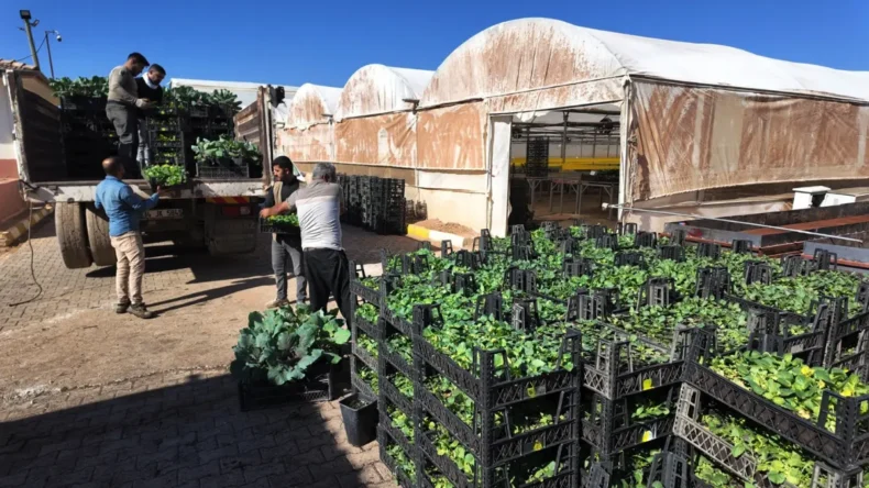 Şanlıurfa Büyükşehir’den yeşeren tasarruf