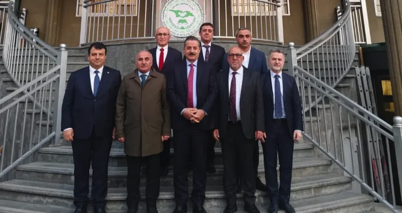 Türkiye-Gürcistan ilişkilerinin güçlenmesi için üst düzey görüşme