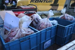 Antalya otogarda usulsüz taşıma! 275 kilo et ele geçti…