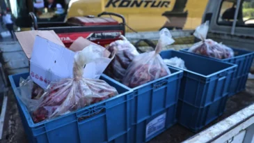 Antalya otogarda usulsüz taşıma! 275 kilo et ele geçti…