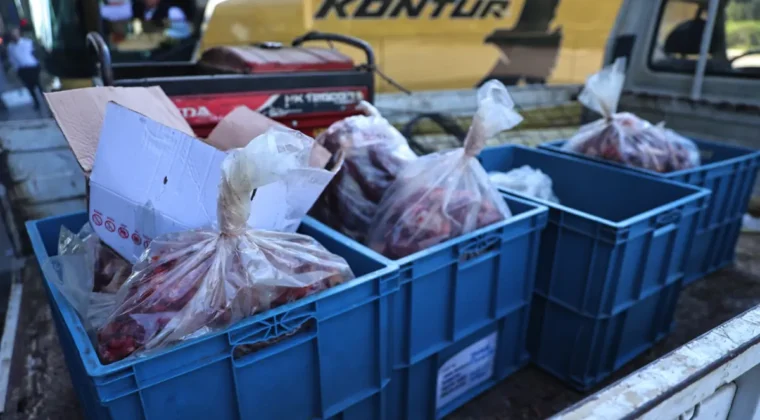Antalya otogarda usulsüz taşıma! 275 kilo et ele geçti…