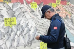 Çorum’da balık tezgahları tek tek denetleniyor