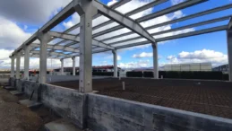 Çorum’da yıllık 5 milyon kutu mama üretilecek tesiste çalışmalar sürüyor