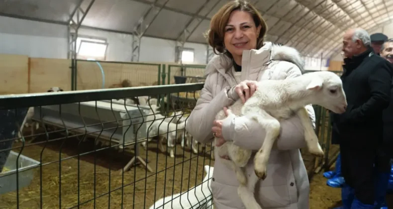 Eskişehir Büyükşehir’den üreticiye iki destek programı