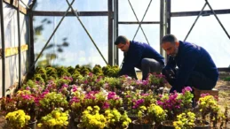 Giresun Belediyesi’nden çocuklara sera sürprizi! Ziyarete açılıyor…