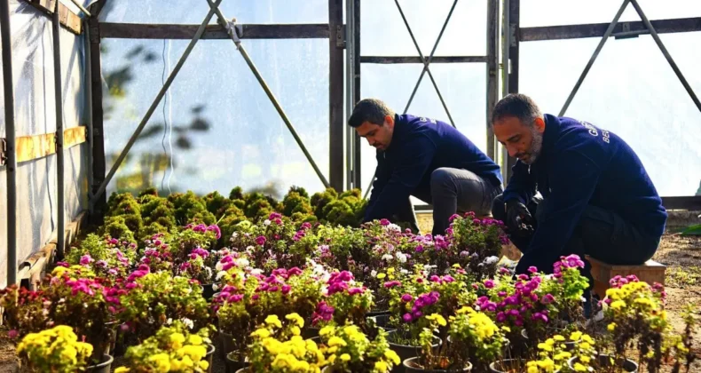 Giresun Belediyesi’nden çocuklara sera sürprizi! Ziyarete açılıyor…