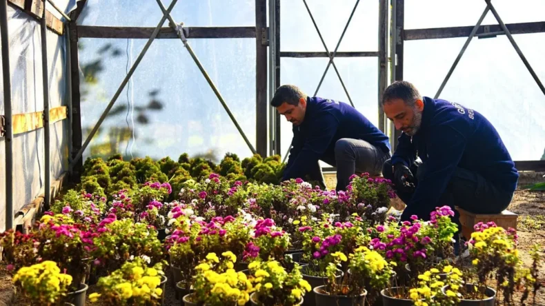 Giresun Belediyesi’nden çocuklara sera sürprizi! Ziyarete açılıyor…