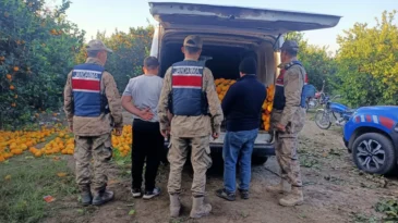 Hatay’da portakal çalan hırsızlar yakalandı! 2 ton…