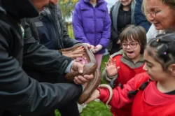 İzmir’de özel çocuklar hayvan sevgisiyle buluştu