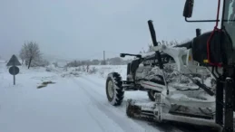Ordu’da karla mücadele çalışmaları başladı
