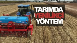 Şanlıurfa’da anıza ekim yöntemi yaygınlaştırılıyor