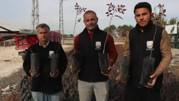 Şanlıurfa Büyükşehir’den üreticiye 35 bin fıstık fidanı desteği