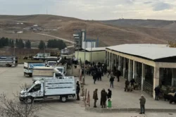 Siirt Hayvan Pazarı yeniden hizmete açıldı