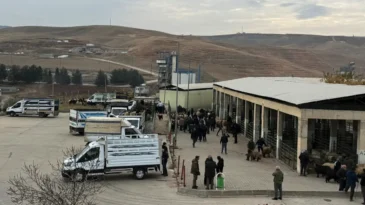 Siirt Hayvan Pazarı yeniden hizmete açıldı
