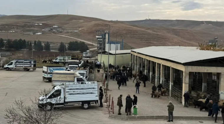 Siirt Hayvan Pazarı yeniden hizmete açıldı