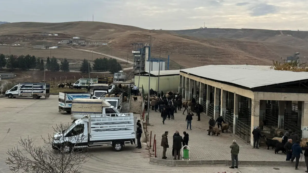 Siirt’te şap hastalığı nedeniyle kapalı tutulan hayvan pazarı, gerekli sağlık