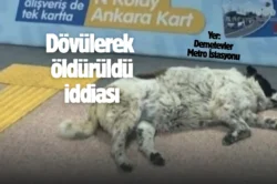 EGO’dan açıklama! Personel görevden uzaklaştırıldı…