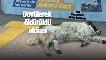 Personel işten çıkarıldı! Matmazel’in ölüm nedeni ortaya çıktı…