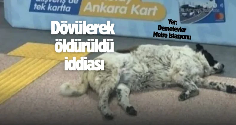 EGO’dan açıklama! Personel görevden uzaklaştırıldı…