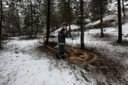 Çorum’da yaban hayvanları için doğaya yem bırakıldı