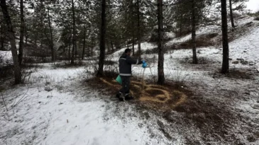 Çorum’da yaban hayvanları için doğaya yem bırakıldı