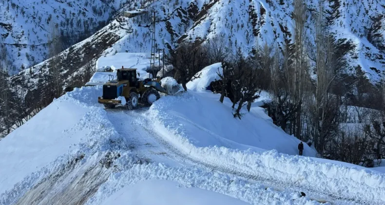 Diyarbakır kırsalında karla mücadele çalışmaları sürüyor