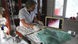 Giresun’da sokak hayvanlarına sağlık yatırımı