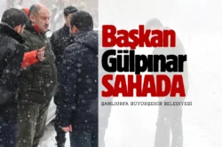 Şanlıurfa’da tarihin en büyük kar yağışıyla mücadele edildi
