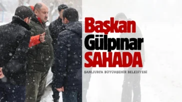 Şanlıurfa’da tarihin en büyük kar yağışıyla mücadele edildi