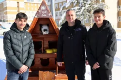 Sivas Belediyesi’nden sokak kedilerine kış önlemi