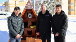 Sivas Belediyesi’nden sokak kedilerine kış önlemi